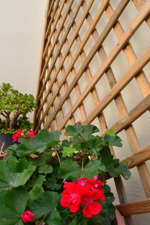 Anatolia Guest House Chania  Zewnętrze zdjęcie